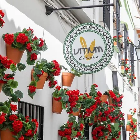Hotel Vitium 2*