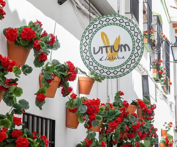 Hotel Vitium 2*